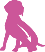 Icona rosa sagoma cane adulto seduto, simbolo alimento completo per tutte le taglie Icona rosa sagoma cane adulto seduto, simbolo alimento completo per tutte le taglie